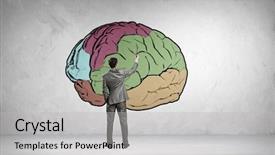  Presentation with human brain - Audience pleasing theme consisting of back view of businessman drawing backdrop and a light gray colored foreground