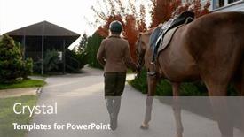  Presentation with equestrian - PPT theme with back-view-of-woman-equestrian background and a gray colored foreground