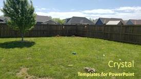  Presentation with bone - Amazing PPT theme having back-yard-with-dog-toy backdrop and a tawny brown colored foreground