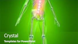  Presentation with backache - Colorful PPT theme enhanced with backache backdrop and a shamrock green colored foreground