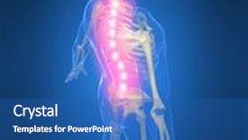  Presentation with backache - Audience pleasing slide deck consisting of backache backdrop and a ocean colored foreground