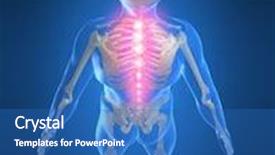  Presentation with backache - Cool new PPT layouts with backache backdrop and a teal colored foreground