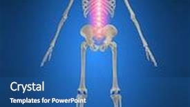  Presentation with backache - Audience pleasing presentation theme consisting of backache backdrop and a ocean colored foreground