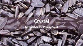  Presentation with sunflower - Slide set consisting of backdrop food oil - sunflower seeds for backgrounds background and a gray colored foreground