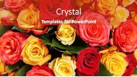  Presentation with soft colors - PPT theme having backdrop-of-colorful-paper-roses background and a crimson colored foreground