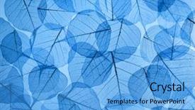  Presentation with blue floral - Presentation having backdrop texture of colorful blue background and a light blue colored foreground