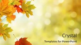  Presentation with leaves - Slide set enhanced with sticks down mountain on track background and a tawny brown colored foreground