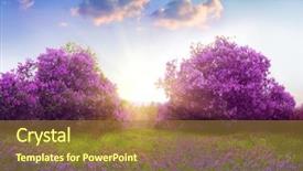  Presentation with flowers - Audience pleasing PPT layouts consisting of background - beautiful landscape with spring flowers backdrop and a tawny brown colored foreground