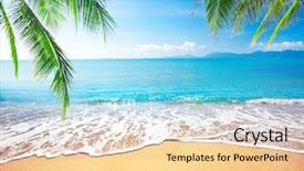  Presentation with palm - Slide deck consisting of background - palm and tropical beach background and a lemonade colored foreground