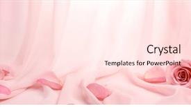  Presentation with silk - Colorful PPT layouts enhanced with background - pink roses on soft silk backdrop and a pink colored foreground