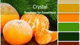  Presentation with branch - Audience pleasing slides consisting of background and palette of colors backdrop and a tawny brown colored foreground