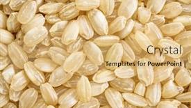  Presentation with brown rice - Amazing presentation theme having background and texture of sweet brown rice used for sticky sweets snacks desserts and japanese sushi also known as waxy rice glutinous rice and mochi backdrop and a yellow colored foreground