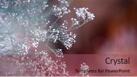  Presentation with birthday banner - Slide set enhanced with background banner suitable for greeting background and a violet colored foreground