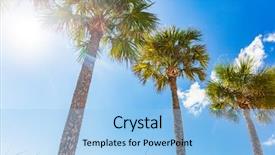  Presentation with palm leaves - Beautiful slide deck featuring background beach holiday palm tree backdrop and a light blue colored foreground
