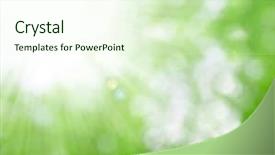  Presentation with nature sun trees - Audience pleasing PPT theme consisting of background blurring with sun ray backdrop and a soft green colored foreground