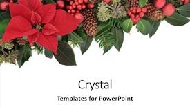  Presentation with red floral - Amazing PPT theme having background border with red poinsettia backdrop and a white colored foreground