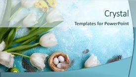  Presentation with white easter lily flowers - Colorful presentation design enhanced with background bunch of spring flowers backdrop and a sky blue colored foreground