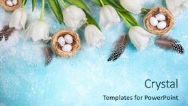  Presentation with horticulture spring easter - Audience pleasing PPT theme consisting of background bunch of spring flowers backdrop and a  colored foreground