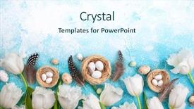  Presentation with white flowers - Slide deck enhanced with background bunch of spring flowers background and a cool aqua colored foreground