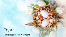  Presentation with bird eggs - Cool new slide set with background bunch of spring flowers backdrop and a cool aqua colored foreground