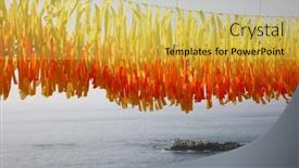  Presentation with laguna beach - Audience pleasing slides consisting of background-colors-beautiful-colors backdrop and a yellow colored foreground