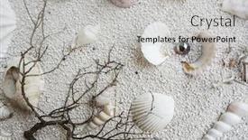 Presentation with pearls - Slide deck consisting of background consisting of fine sand seashells twigs pearls background and a light gray colored foreground