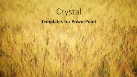  Presentation with cereal - Cool new slides with background-created-with-a-close backdrop and a yellow colored foreground