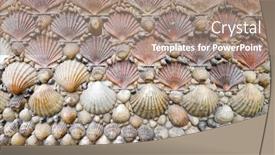  Presentation with shells - Cool new slide deck with background-created-with-a-group backdrop and a coral colored foreground