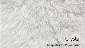  Presentation with speckled sheep - Slide set having background detail of sheep fur background and a light gray colored foreground