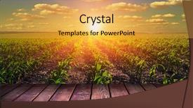  Presentation with blue green - Audience pleasing theme consisting of background farm - green field under blue sky backdrop and a yellow colored foreground