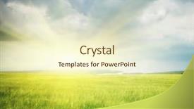  Presentation with meadow - Cool new PPT theme with background farm - meadow of wheat nature composition backdrop and a cream colored foreground