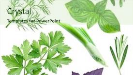  Presentation with herbs - Cool new slide deck with background file contains clipping path backdrop and a mint green colored foreground