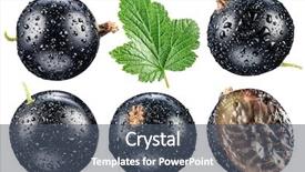 Presentation with currant - PPT theme with background file contains clipping path background and a dark gray colored foreground