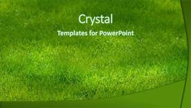  Presentation with green lawn - Presentation theme featuring background focus in one third background and a forest green colored foreground