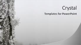  Presentation with winter evergreen forest - Amazing PPT theme having background for a winter theme backdrop and a white colored foreground