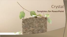  Presentation with eucalyptus leaves - Presentation theme consisting of background-for-cosmetic-products background and a  colored foreground