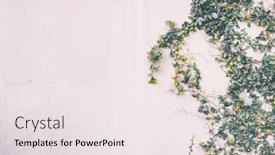  Presentation with multiple identity - Colorful PPT theme enhanced with background-for-multiple-messaging-use backdrop and a sky blue colored foreground