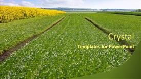  Presentation with agricultural - Theme enhanced with background-for-the-design background and a tawny brown colored foreground