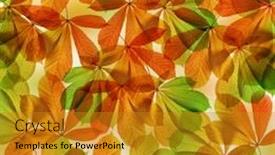  Presentation with autumn leaves - PPT layouts consisting of background-from-autumn-leaves background and a gold colored foreground