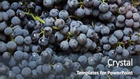  Presentation with grape vine - Audience pleasing presentation consisting of background from blue grape backdrop and a ocean colored foreground