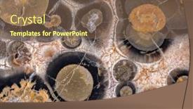  Presentation with turtle - Slide deck featuring background-from-brown-turtle-agate background and a violet colored foreground