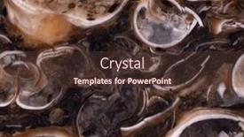  Presentation with turtle - Theme featuring background-from-brown-turtle-agate background and a tawny brown colored foreground