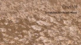  Presentation with dry - Presentation theme having background-from-dry-reed background and a coral colored foreground