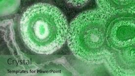  Presentation with turtle - Presentation design enhanced with background-from-green-turtle-agate background and a seafoam green colored foreground