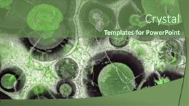  Presentation with turtle - Theme having background-from-green-turtle-agate background and a seafoam green colored foreground