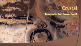  Presentation with turtle - Slides having background-from-orange-turtle-agate background and a tawny brown colored foreground