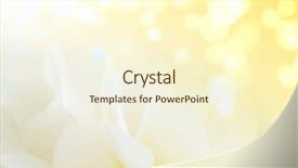  Presentation with flower - Colorful theme enhanced with background from petals of flower backdrop and a cream colored foreground