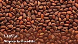  Presentation with pine - Slide deck featuring background-from-pine-nuts-pinus background and a tawny brown colored foreground