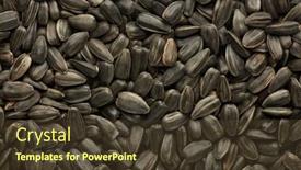  Presentation with sunflower - Beautiful PPT layouts featuring background-from-sunflower-seeds-healthy backdrop and a tawny brown colored foreground