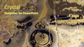  Presentation with turtle - PPT layouts with background-from-yellow-turtle-agate background and a tawny brown colored foreground